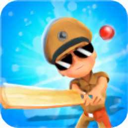 小辛格姆板球游戲