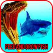 飼料和成長：魚類游戲