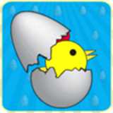 快樂小雞生雞蛋