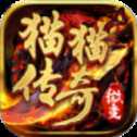 貓貓傳奇