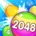 特別的2048