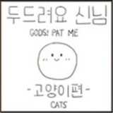 上帝保佑你小貓