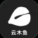 云木魚