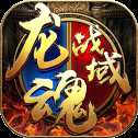 龍魂戰(zhàn)域1