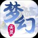 夢(mèng)幻天靈