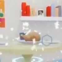 模擬家政機(jī)器人手機(jī)版(暫未上線)