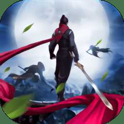 將軍在上流浪江湖小米版