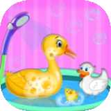 小鴨寵物護(hù)理