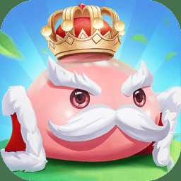 勇者大陸九游版