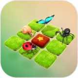 昆蟲(chóng)之謎