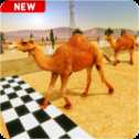 駱駝跑酷模擬器