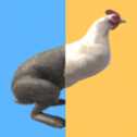 動物賽跑