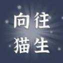 貓咪的一生