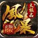風(fēng)暴大極品
