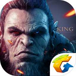 王中之王3d正式版(暫未上線)