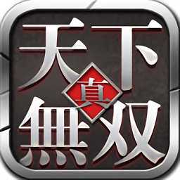 真天下無雙無限鉆石破解版