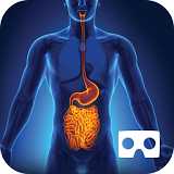 人體內inbody vr游戲