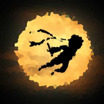 忍者傳服部半藏手游(暫未上線)