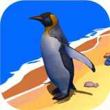 模擬企鵝生存