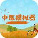 中醫(yī)模擬器