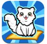 跑酷云養(yǎng)貓