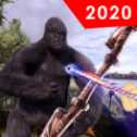 野生大猩猩獵人