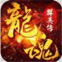 龍魂群英傳