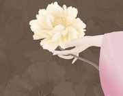 知否知否應是綠肥紅瘦