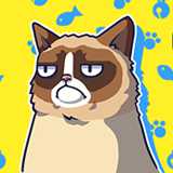 脾氣暴躁貓的最糟比賽