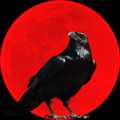 烏鴉之霜免廣告版