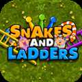 蛇與梯子