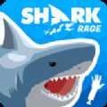 鯊魚之怒