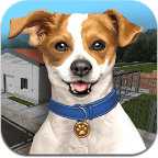 動(dòng)物收容所